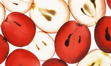 آیا عصاره هسته انگور برای شما مفید است؟ در اینجا چیزی است که شما باید بدانید