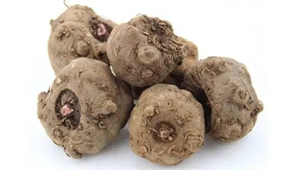 عصاره ریشه Konjac چیست؟