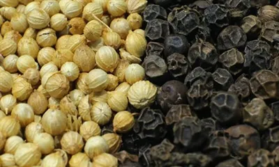 تفاوت بین فلفل سفید و سیاه چیست؟