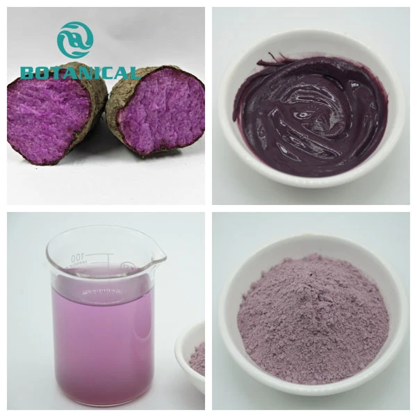 Purple Yam Ube Powder - Root, Paste, Powder & Extract Solution Botanical Cube Inc
