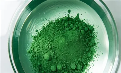 مواد مغذی در پودر کلامیدوموناس راینهاردتی چیست؟