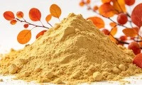 کدام بهتر است: فیستین یا کوئرستین؟